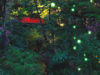 都会の真ん中でも幻想的な世界に浸る。ホテル椿山荘東京の「ほたるの夕べ」