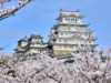 桜はまるで歴史の傍観者？　おすすめのお城を彩るお花見スポットはココ！
